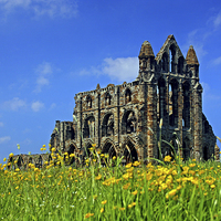 Buy canvas prints of  Whitby Abbey by David Chennell