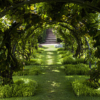 Buy canvas prints of Green Gateway by David Chennell
