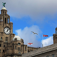Buy canvas prints of Royal Liver Building  by David Chennell