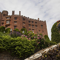 Buy canvas prints of Powis Castle by David Chennell