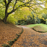 Buy canvas prints of Autumn Path  by David Chennell