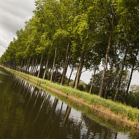 Buy canvas prints of Bruges To Damme Canal by David Chennell
