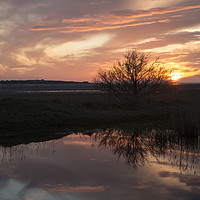 Buy canvas prints of Hilbre Island Sunset Silhouette Reflection  by David Chennell