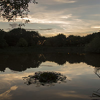 Buy canvas prints of Gilroy Nature Park Golden Hour by David Chennell