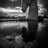 Buy canvas prints of Reflection of a Kelpie by Steve Chandler
