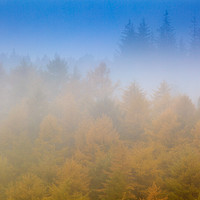 Buy canvas prints of Misty morning near Bamford by Vladimir Korolkov