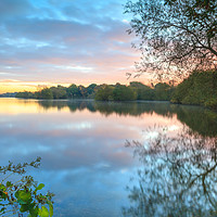 Buy canvas prints of An early morning at Attenborough Nature Reserve by Vladimir Korolkov