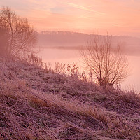Buy canvas prints of Dawn at river Trent by Vladimir Korolkov