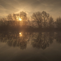 Buy canvas prints of Morning on river Trent  by Vladimir Korolkov