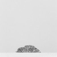 Buy canvas prints of Simplicity of winter landscapes by Vladimir Korolkov