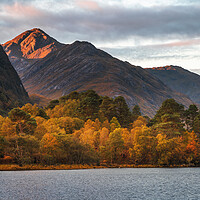 Buy canvas prints of Sgùrr Ghiubhsachain and Loch Shiel, Glenfinnan by Miles Gray