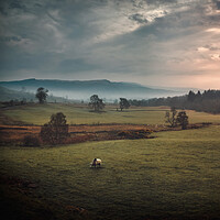 Buy canvas prints of Misty morning in the Trossachs by Miles Gray