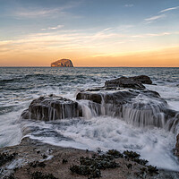 Buy canvas prints of The Bass Rock at Sunset by Miles Gray