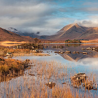 Buy canvas prints of Rannoch Moor and the Black Mount at Sunrise by Miles Gray