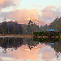 Buy canvas prints of Ben Lomond Reflections by Miles Gray