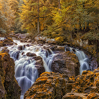 Buy canvas prints of Autumn colours at the Falls of Braan near Dunkeld by Miles Gray