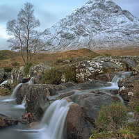 Buy canvas prints of The herdsman of Etive, Scotland by Miles Gray