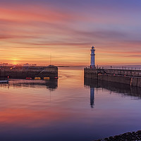 Buy canvas prints of Newhaven lighthouse at dusk by Miles Gray