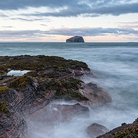 Buy canvas prints of Looking out to Bass Rock by Miles Gray