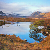 Buy canvas prints of Morning at Rannoch Moor by Miles Gray