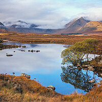 Buy canvas prints of Autumn morning on Rannoch Moor  by Miles Gray