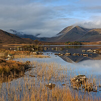 Buy canvas prints of Rannoch Moor in the Morning light by Miles Gray