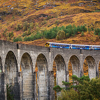 Buy canvas prints of Scotrail crossing the Glenfinnan Viaduct by Miles Gray