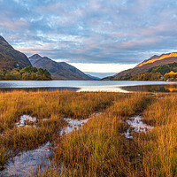 Buy canvas prints of Autumn Morning on Loch Shiel by Miles Gray