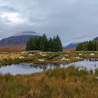 Buy canvas prints of The Buachaille from Kingshouse by Miles Gray