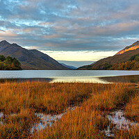 Buy canvas prints of Golden morning light on Loch Shiel by Miles Gray
