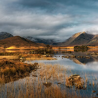 Buy canvas prints of Rannoch Moor and the The Black Mount at Sunrise by Miles Gray