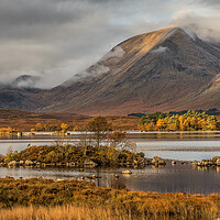 Buy canvas prints of Rannoch Moor and the The Black Mount at Sunrise by Miles Gray