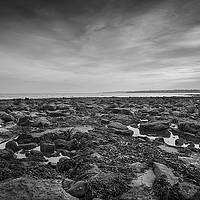 Buy canvas prints of Pausing on the causeway by Phil Moore