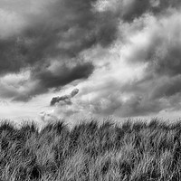 Buy canvas prints of Grasslands by Phil Moore