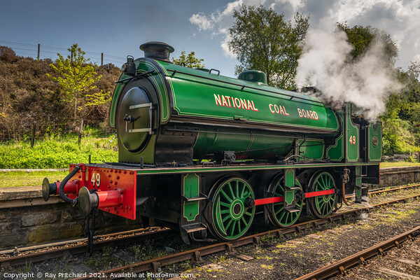 Steam Train at Tanfield Railway Picture Board by Ray Pritchard