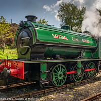 Buy canvas prints of Steam Train at Tanfield Railway by Ray Pritchard