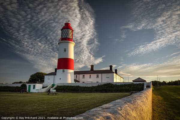 Souter Lighthouse at Whitburn Picture Board by Ray Pritchard