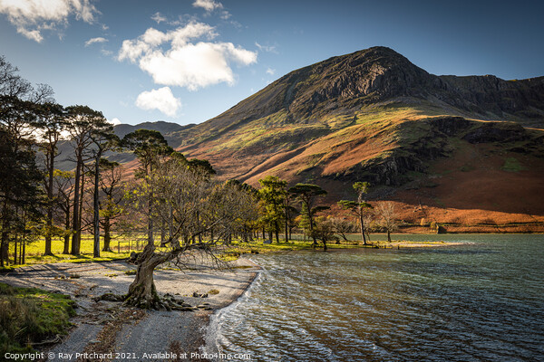 Buttermere in Autumn Picture Board by Ray Pritchard