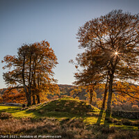 Buy canvas prints of Autumn Trees at Rydal by Ray Pritchard