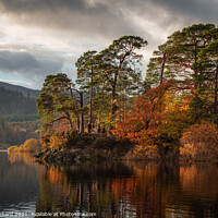 Buy canvas prints of Autumn's Embrace at Friars Crag by Ray Pritchard