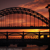 Buy canvas prints of Tyne Bridge at Sunset by Ray Pritchard