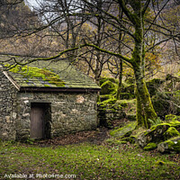 Buy canvas prints of Small Hut in Borrowdale by Ray Pritchard