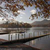 Buy canvas prints of Derwent Water in Autumn  by Ray Pritchard