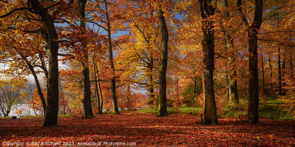 Autumn Colours Around Keswick Canvas Print by Ray Pritchard