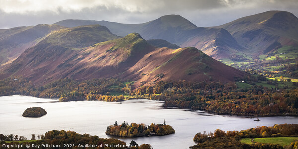 View of Derwent Water and Catbells Canvas Print by Ray Pritchard