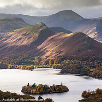 Buy canvas prints of View of Derwent Water and Catbells by Ray Pritchard
