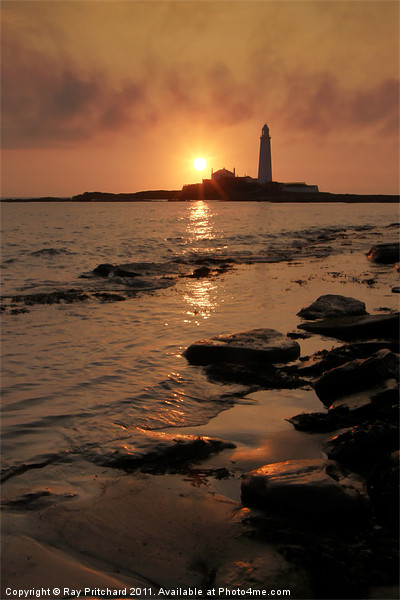 St Marys Lighthouse Picture Board by Ray Pritchard