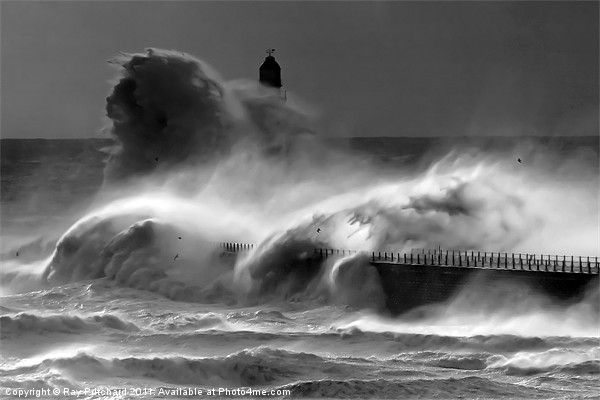 Wild Roker Picture Board by Ray Pritchard