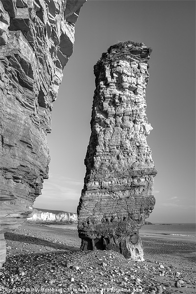 Lot's Wife sea-stack Picture Board by Ray Pritchard