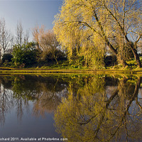 Buy canvas prints of Exhibition Park by Ray Pritchard